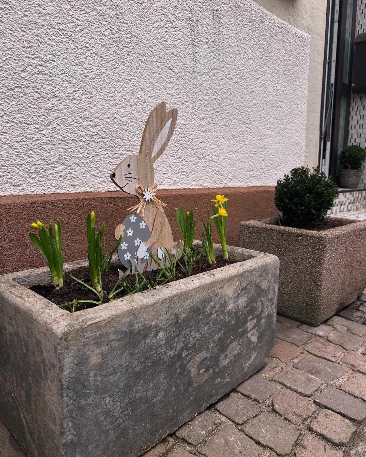 Ferienwohnung Am Berg Bad Bergzabern Buitenkant foto
